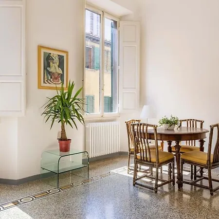 Academia Of Davide Spacious *